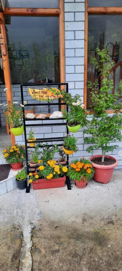 God'S Land Bed and Breakfast Manāli Exterior foto